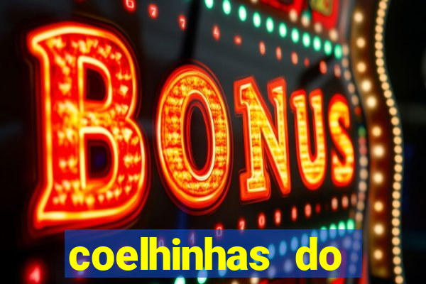 coelhinhas do brasil jp