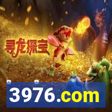 3976.com