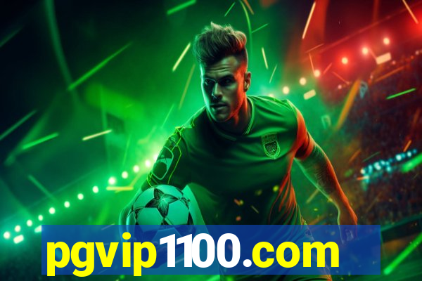 pgvip1100.com
