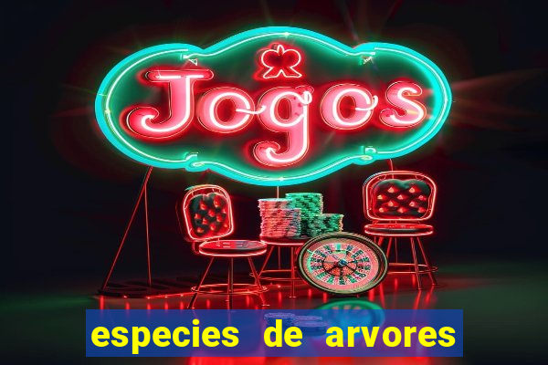 especies de arvores do aterro do flamengo