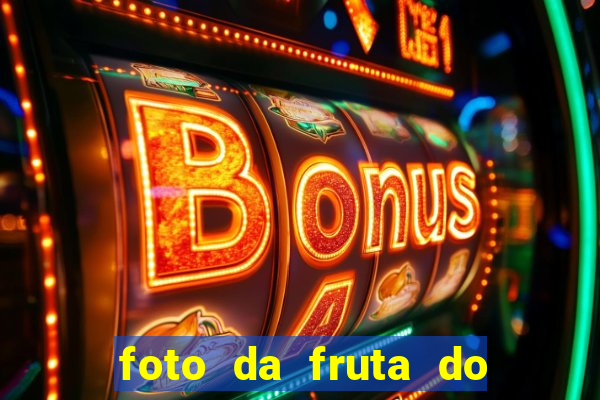 foto da fruta do blox fruits
