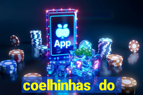 coelhinhas do brasil recife