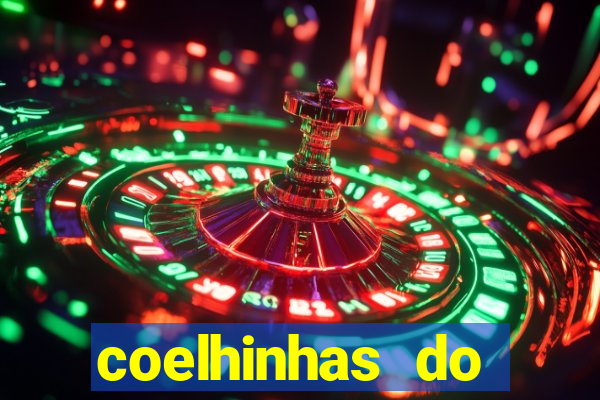 coelhinhas do brasil recife