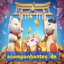 acompanhantes de nova mutum