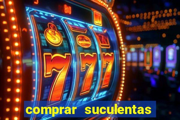 comprar suculentas direto do produtor