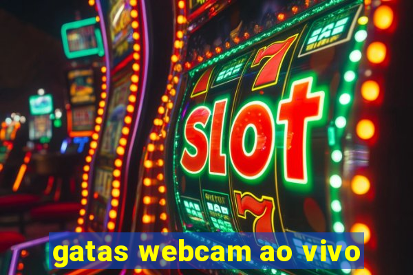 gatas webcam ao vivo