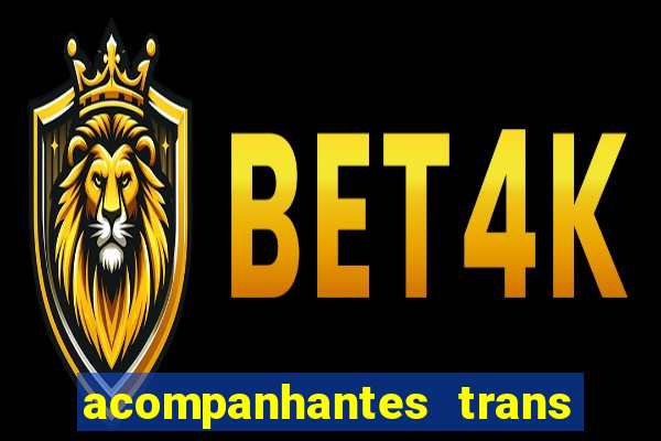 acompanhantes trans santos sp