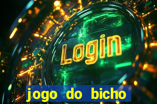 jogo do bicho crash bingo