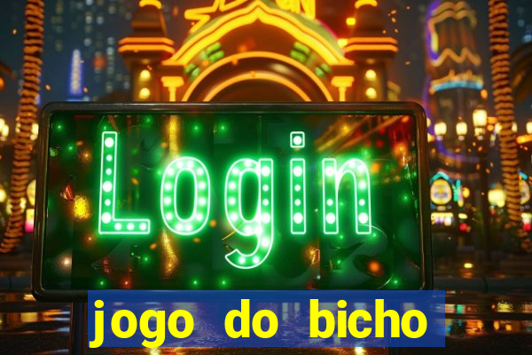 jogo do bicho crash bingo