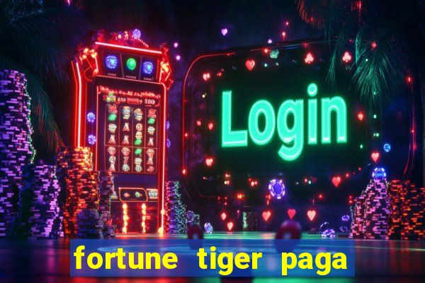 fortune tiger paga de madrugada