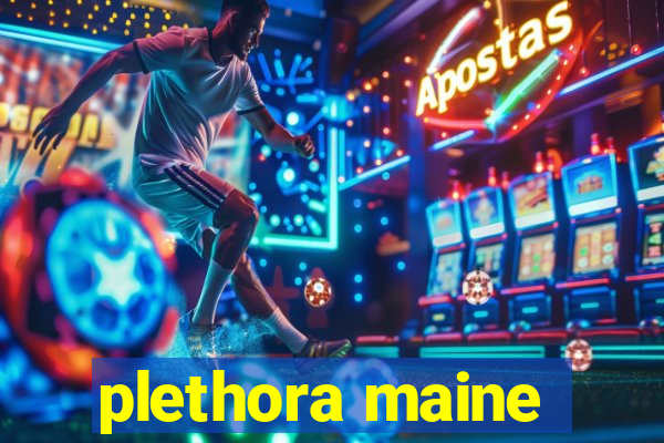plethora maine