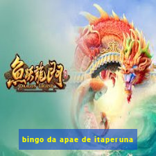 bingo da apae de itaperuna