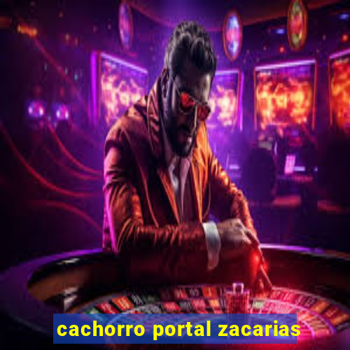 cachorro portal zacarias