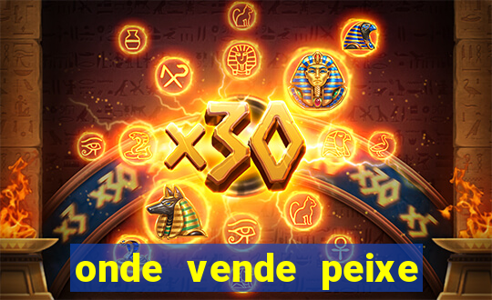 onde vende peixe betta perto de mim