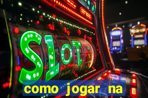 como jogar na seninha online