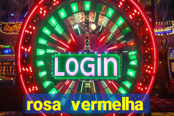 rosa vermelha (letra e cifra)