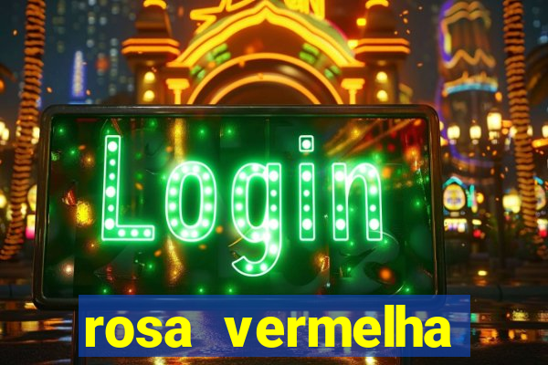 rosa vermelha (letra e cifra)
