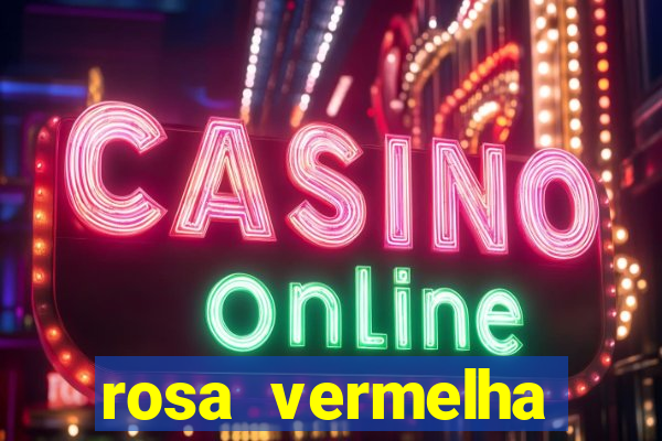 rosa vermelha (letra e cifra)