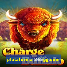 plataforma 365gg.com