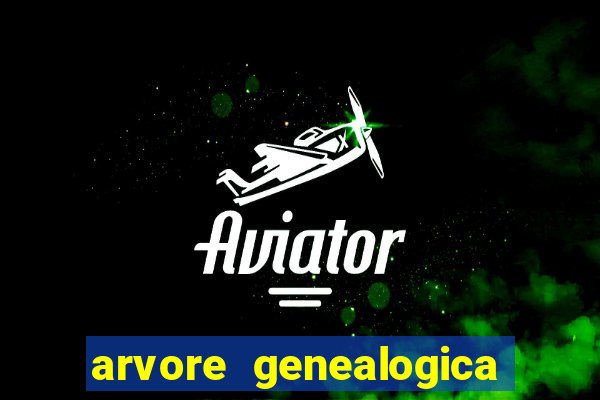 arvore genealogica dos gracie
