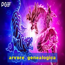 arvore genealogica dos gracie