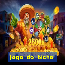 jogo do bicho natal rn