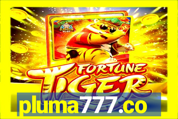 pluma777.co