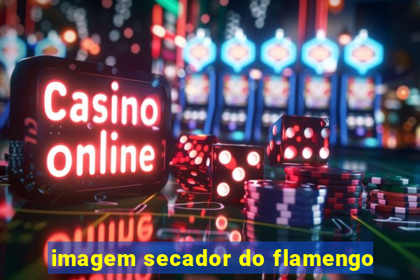 imagem secador do flamengo