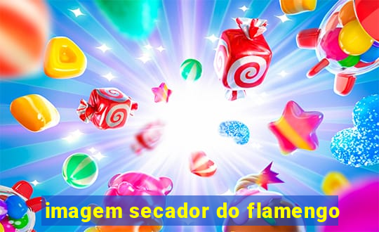 imagem secador do flamengo