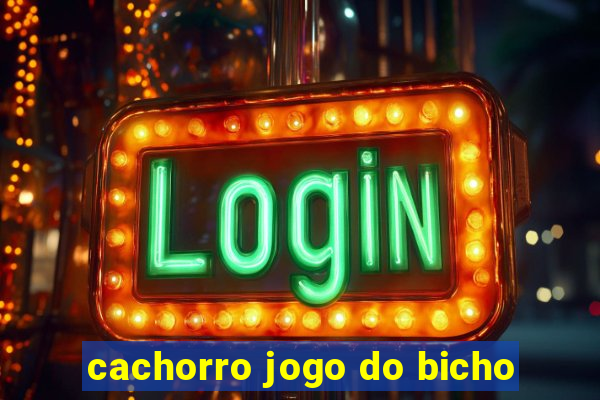 cachorro jogo do bicho