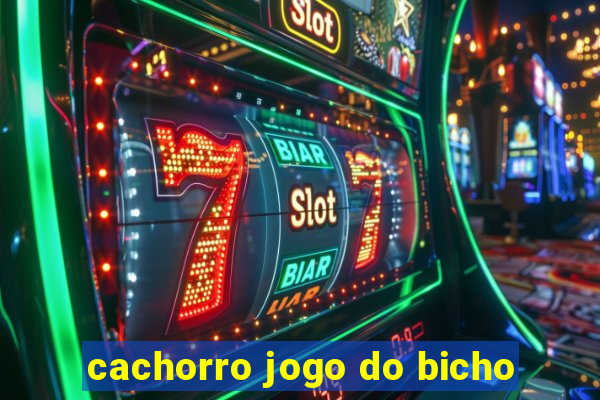 cachorro jogo do bicho