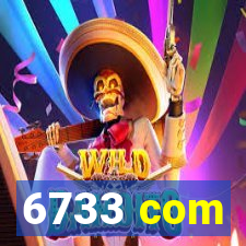 6733 com