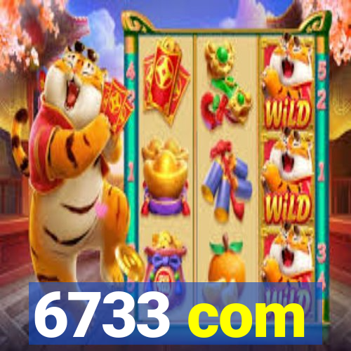 6733 com