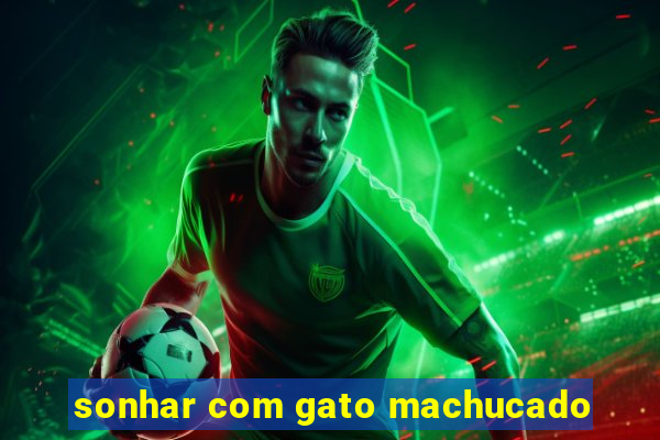 sonhar com gato machucado