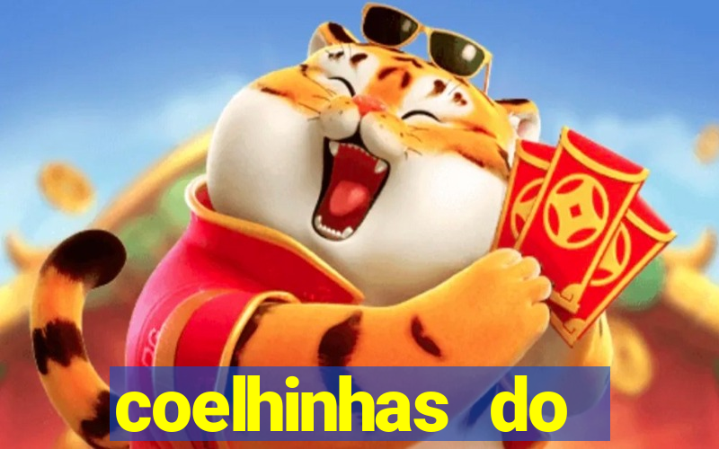 coelhinhas do brasil site