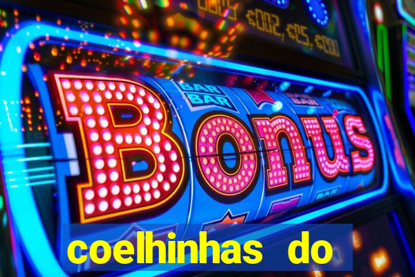 coelhinhas do brasil site