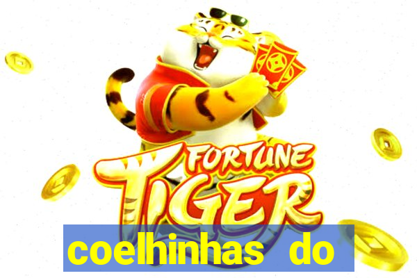 coelhinhas do brasil site