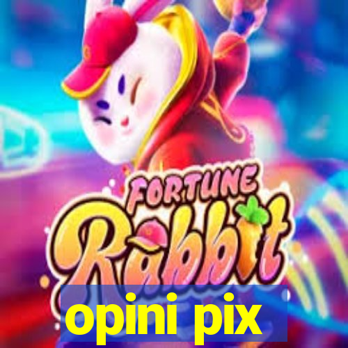 opini pix