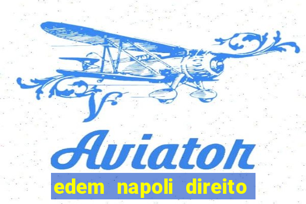 edem napoli direito constitucional pdf