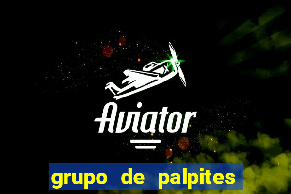 grupo de palpites de futebol whatsapp