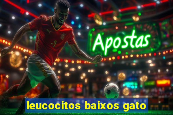 leucocitos baixos gato