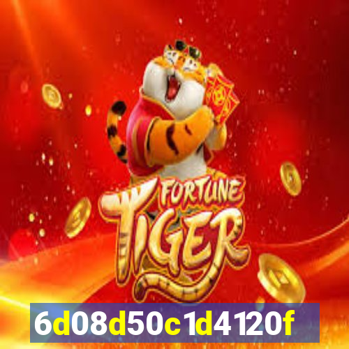 312bet plataforma