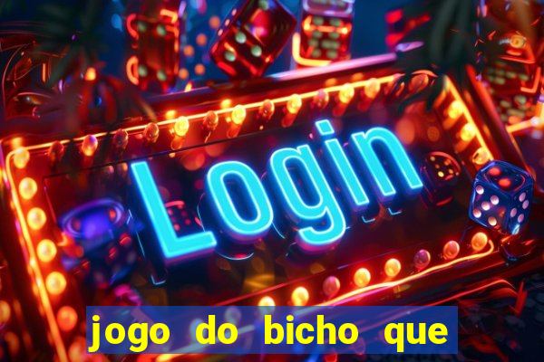 jogo do bicho que paga no pix