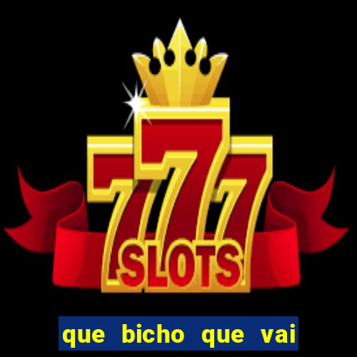 que bicho que vai dar hoje