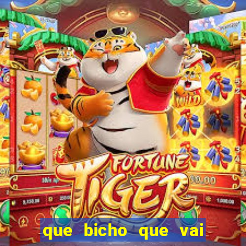 que bicho que vai dar hoje