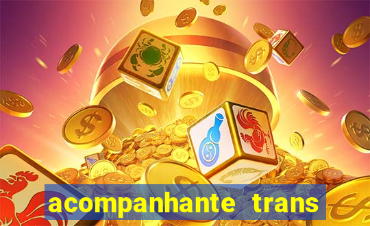 acompanhante trans baixada fluminense