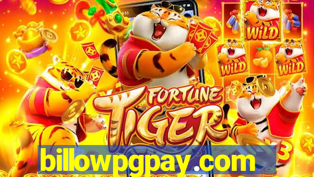 billowpgpay.com