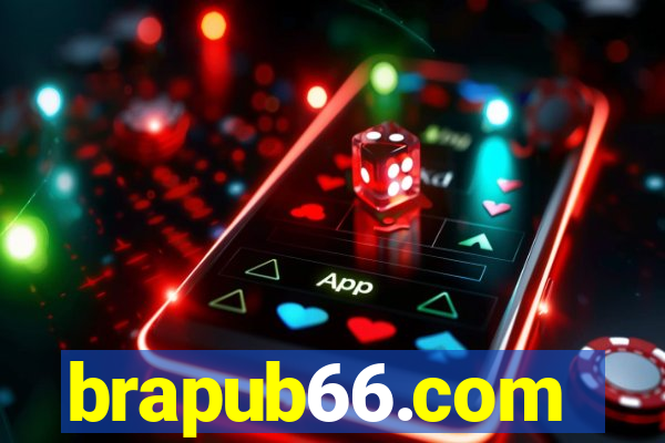 brapub66.com