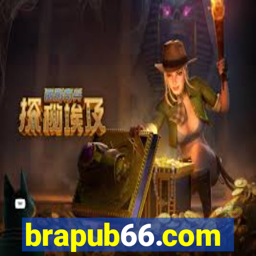 brapub66.com