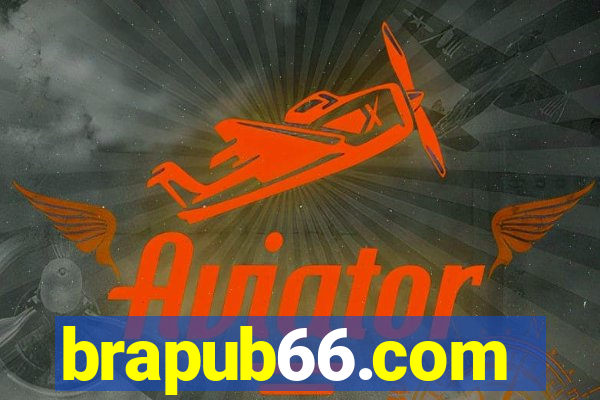 brapub66.com